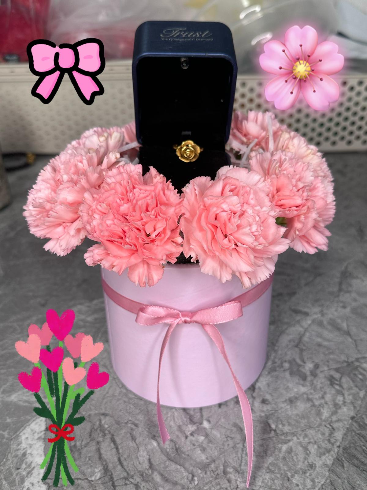 Mother’s Day Gift – Carnation with FlowerPot